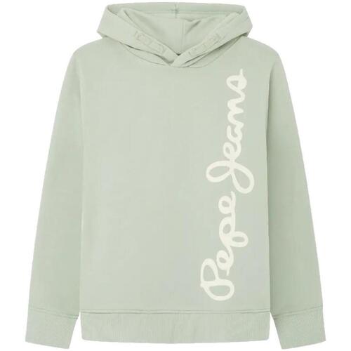 Textiel Jongens Sweaters / Sweatshirts Pepe jeans  Groen