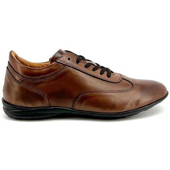 Schoenen Heren Sneakers Duca Di Morrone Raul - Leather Brown Brown