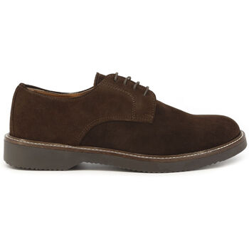 Schoenen Heren Derby & Klassiek Duca Di Morrone Alessio - Suede Brown Brown