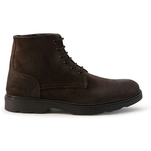 Schoenen Heren Laarzen Duca Di Morrone Achielle - Suede Dark Brown Brown