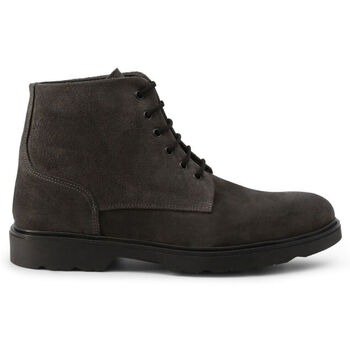 Schoenen Heren Laarzen Duca Di Morrone Achielle - Suede Gray Grijs