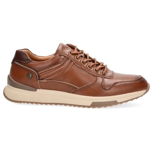 Schoenen Heren Lage sneakers Xti 75803 Brown