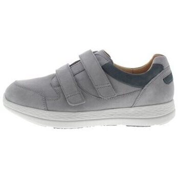 Schoenen Heren Sneakers Ganter KarlLudwig K/L Grijs