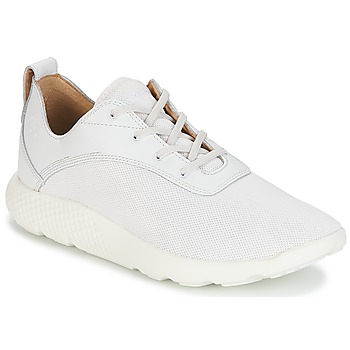 Schoenen Heren Lage sneakers Timberland FLYROAM Wit