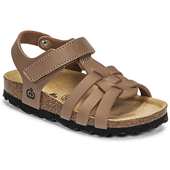 Schuhe Jungen Sandalen / Sandaletten Citrouille et Compagnie JANISOL Braun, / Maulwurf