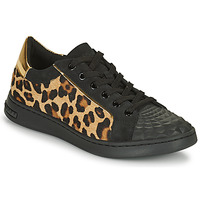 Schuhe Damen Sneaker Low Geox JAYSEN    