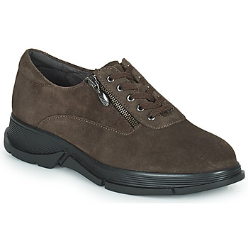 Chaussures Femme Baskets basses Scholl BRISTOL ZIP 