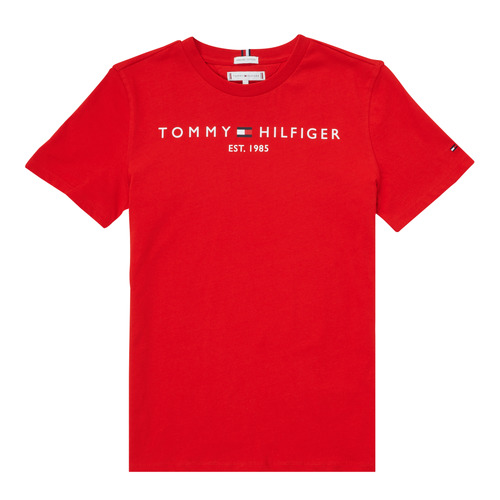 Vêtements Garçon T-shirts manches courtes Tommy Hilfiger SELINERA 