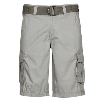 Kleidung Herren Shorts / Bermudas Teddy Smith SYTRO 3 Grau / Hell