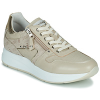 Scarpe Donna Sneakers basse NeroGiardini E218000D-702 