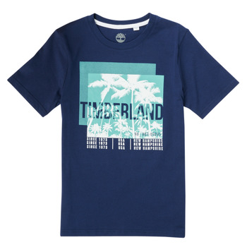 Vêtements Garçon T-shirts manches courtes Timberland HOVROW 