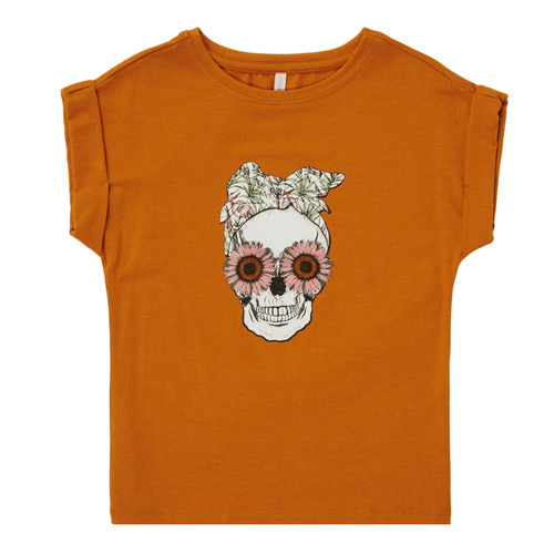 Vêtements Fille T-shirts manches courtes Only KONSNI SKULL 