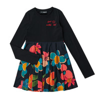 Vêtements Fille Robes courtes Desigual CARMEN 