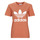 Abbigliamento Donna T-shirt maniche corte adidas Originals TREFOIL TEE 