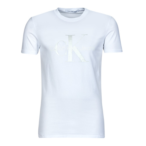 Vêtements Homme T-shirts manches courtes Calvin Klein Jeans MONOLOGO TEE 