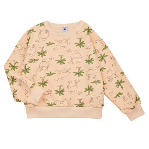 Kleidung Jungen Sweatshirts Petit Bateau FLOT Bunt