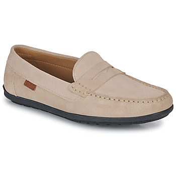 Scarpe Uomo Mocassini Casual Attitude VELMO 