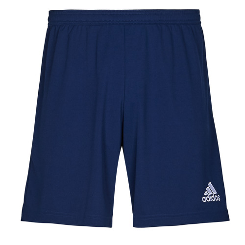 Vêtements Homme Shorts / Bermudas adidas Performance ENT22 SHO 