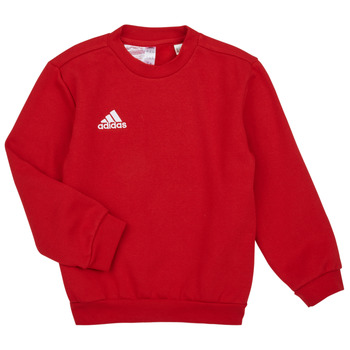 Vêtements Enfant Sweats adidas Performance ENT22 SW TOPY 