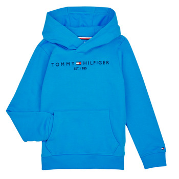 Vêtements Enfant Sweats Tommy Hilfiger ESTABLISHED LOGO 