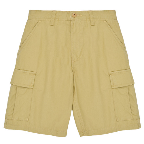 Vêtements Garçon Shorts / Bermudas Vans SERVICE CARGO SHORT 