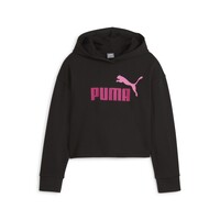 Vêtements Fille Sweats Puma ESS 2COLOR HOODIE 