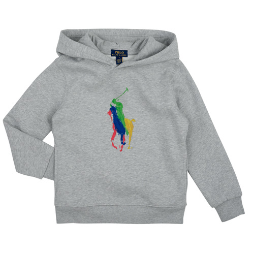 Kleidung Kinder Sweatshirts Polo Ralph Lauren PO HOOD-KNIT SHIRTS-SWEATSHIRT Grau