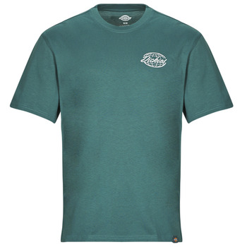 Kleidung Herren T-Shirts Dickies DICKIES GLOBE TEE SS  