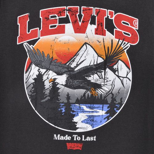 Levi's LVB SOAR LIKE AN EAGLE TEE 