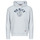 Kleidung Herren Sweatshirts Tommy Jeans TJM REG WASHED PREP EXPLR HOODIE Grau