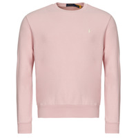 Kleidung Herren Sweatshirts Polo Ralph Lauren COL ROND EN MOLLETON TERRY Adirondack