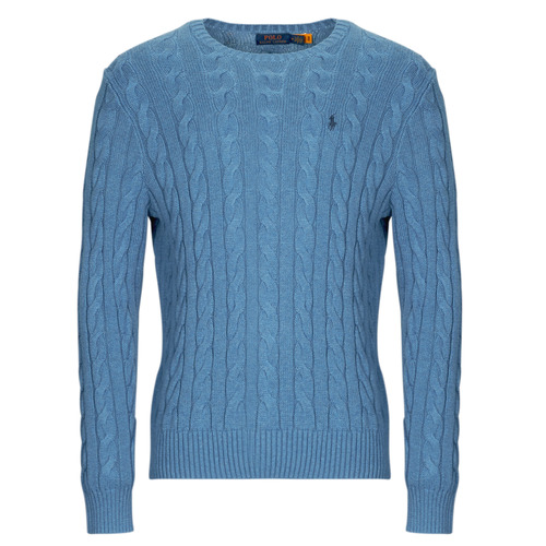 Kleidung Herren Pullover Polo Ralph Lauren PULL COL ROND EN MAILLE TORSADEE Blau