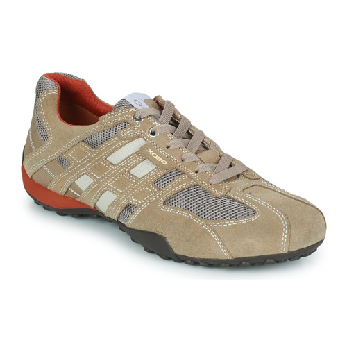 Schuhe Herren Sneaker Low Geox SNAKE Beige