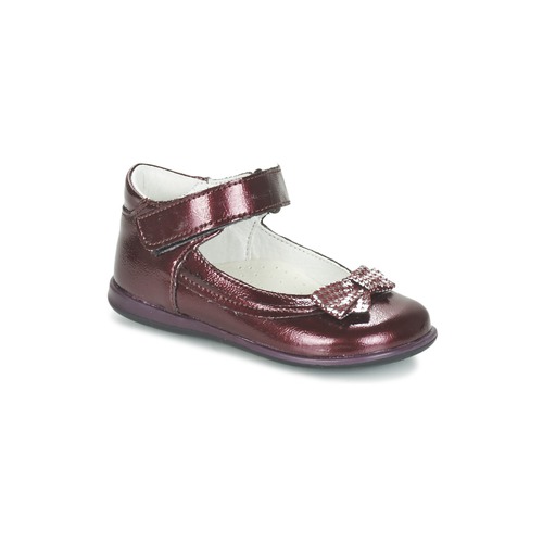 Schuhe Mädchen Ballerinas Citrouille et Compagnie FRIZZY Bordeaux