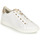 Shoes Women Low top trainers Geox D JAYSEN B White / Gold