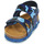 Shoes Boy Sandals Citrouille et Compagnie BELLI JOE Blue / Camouflage