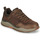 Shoes Men Low top trainers Skechers BENAGO Brown