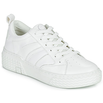 Shoes Women Hi top trainers Palladium EGO 03 LEA~WHITE/WHITE~M White