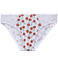 Underwear Women Knickers/panties DIM GENEROUS COTON BIO Multicolour