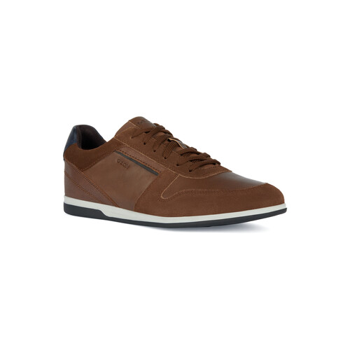 Shoes Men Low top trainers Geox U RENAN A Brown