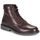 Shoes Men Mid boots Levi's AMOS Brown