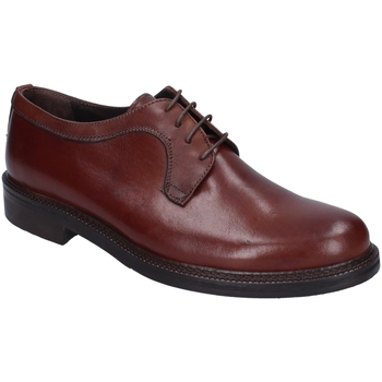 Shoes Men Derby Shoes & Brogues Bruno Verri BC269 Brown