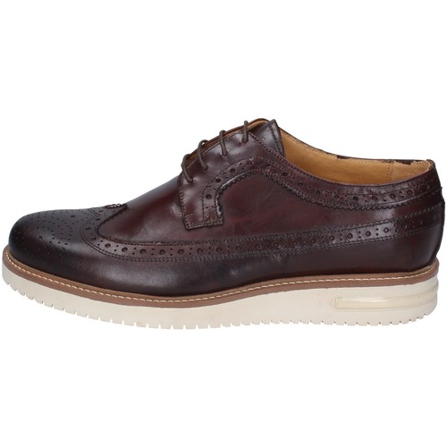 Shoes Men Derby Shoes & Brogues Bruno Verri BC528 Brown