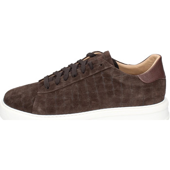 Shoes Men Trainers Stokton EX05 Brown