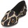 Shoes Women Flat shoes Roberto Cavalli XPS280-FLA41 Leopard