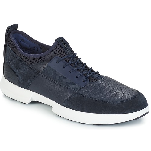 Shoes Men Low top trainers Geox TRACCIA Navy