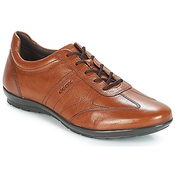 Shoes Men Low top trainers Geox UOMO SYMBOL Brown