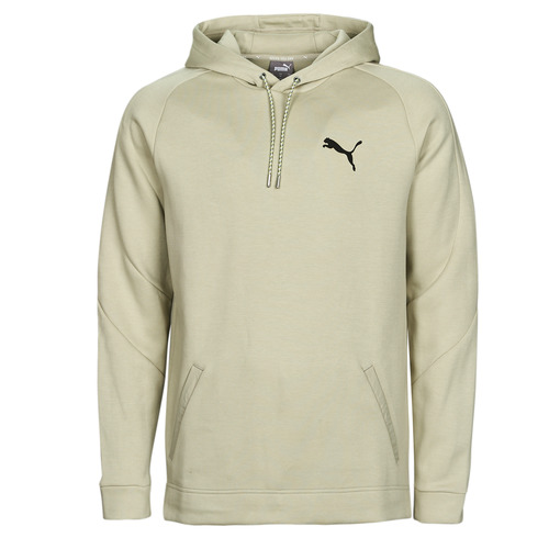 Odjeća Muškarci
 Sportske majice Puma DAY IN MOTION HOODIE DK Siva