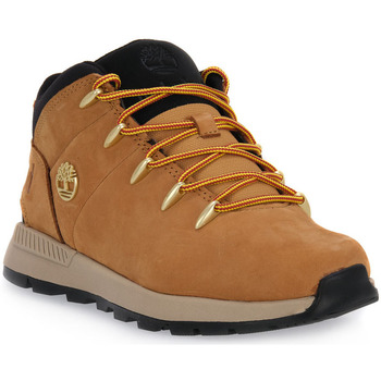 Obuća Žene
 Čizme Timberland SPRINT TREKKER MID WHEAT žuta