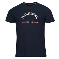 Odjeća Muškarci
 Majice kratkih rukava Tommy Hilfiger RWB ARCH GS TEE Plava